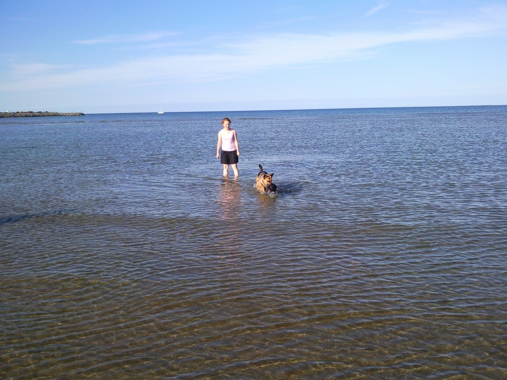 Allerede vandhund allerede en vandhund sammen med Lady