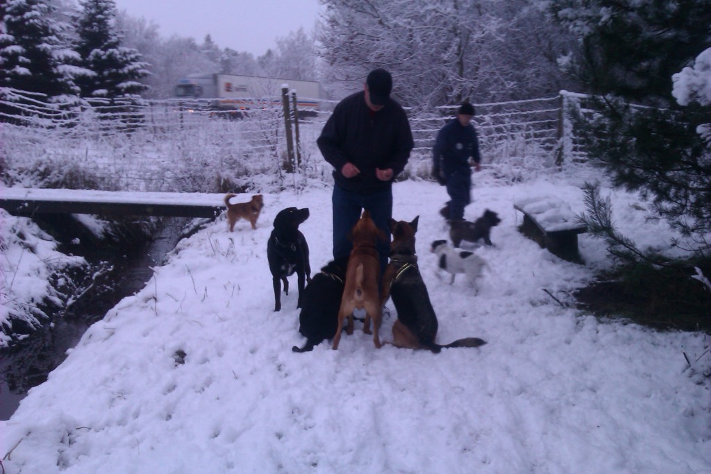 Hundeskoven og Arne med godbidder December 2011