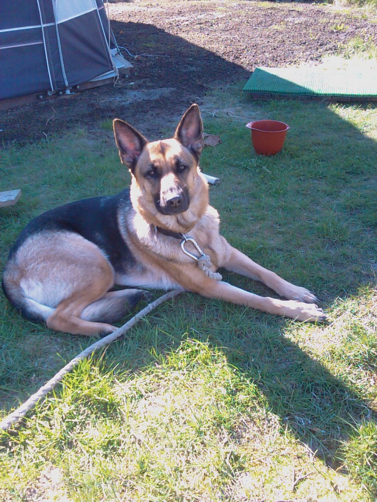 Lady i snor Camping April 2009