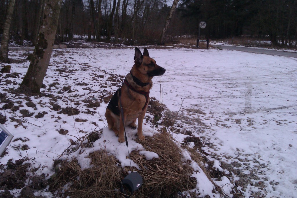 Queen on the Rock