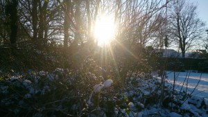 Sne Sol og minusgrader 17-1-2016