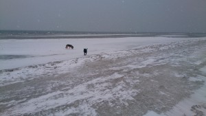 Sne og gråt på Stranden 16-01-2016