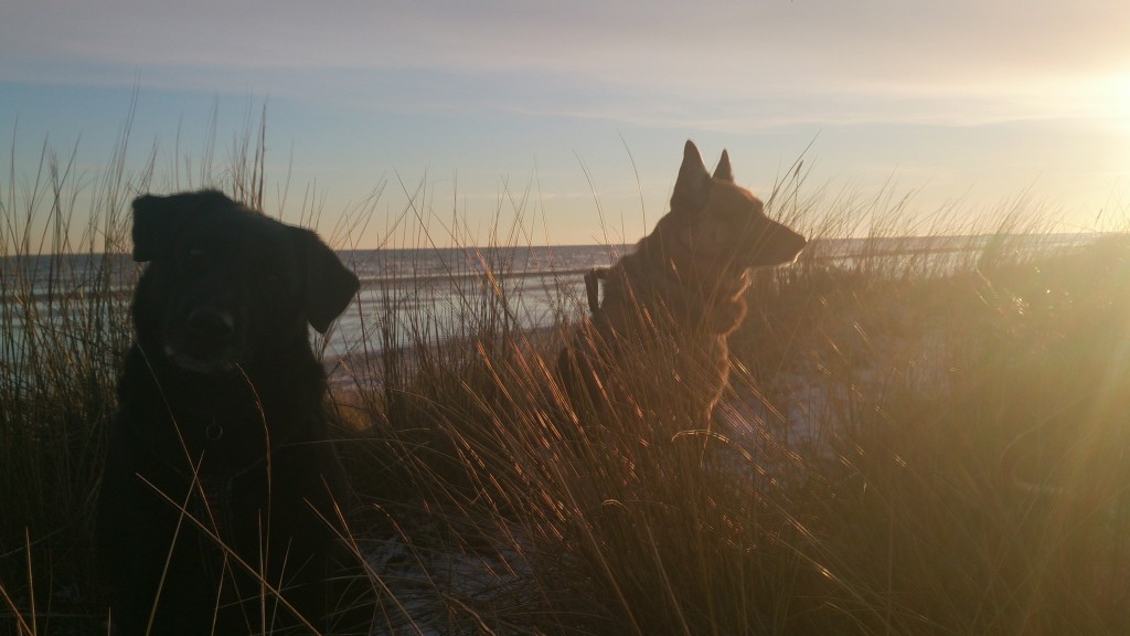 Sol og Blå Himmel 15-01-2016