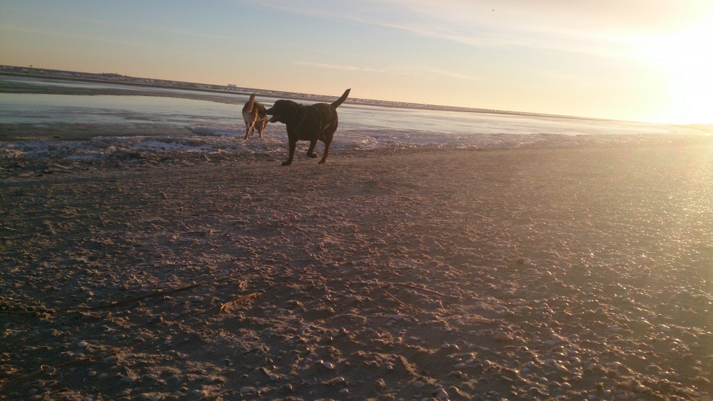 Sol på Stranden 15-01-2016