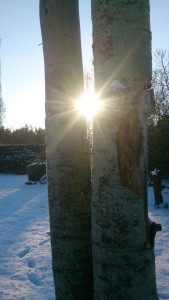 Solen titter frem 17-1-2016