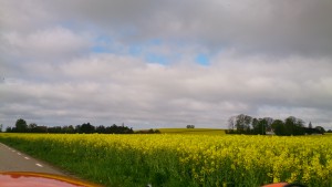 Strada langs gule marker