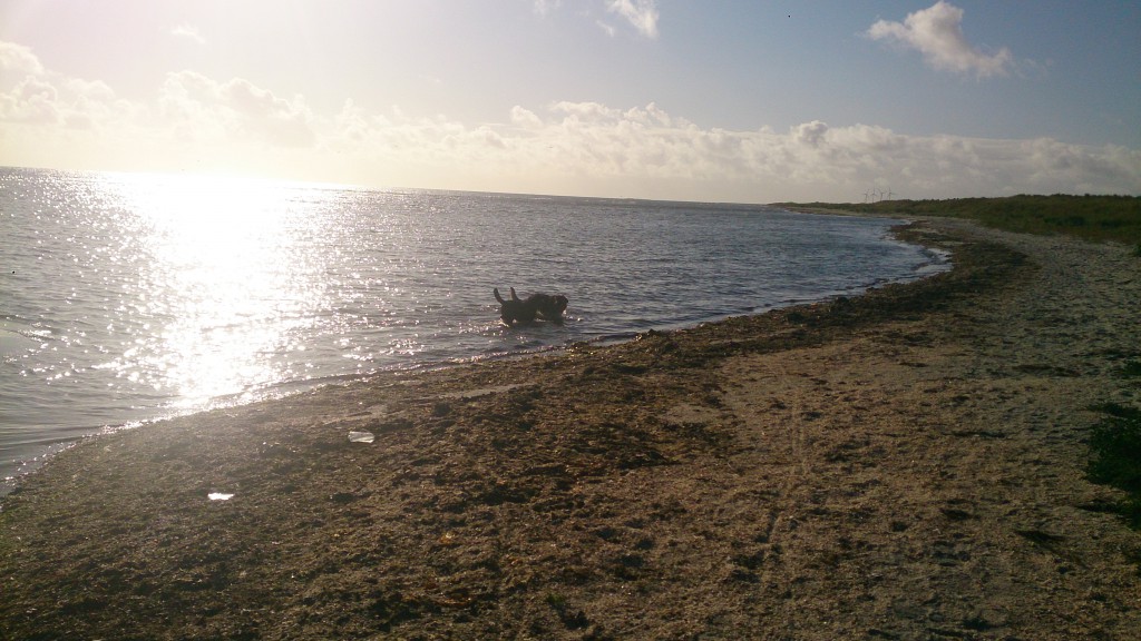 Strandby Strand September