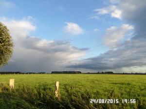 Hvor er Rhein broen?