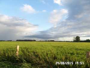 Hvor er Rhein broen?