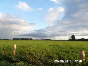 Hvor er Rhein broen?